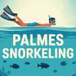 palmes snorkeling nageur flottant surface eau