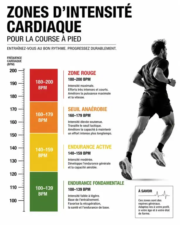Infographie des zones de fréquence cardiaque en course à pied pour optimiser son entraînement à 160 bpm