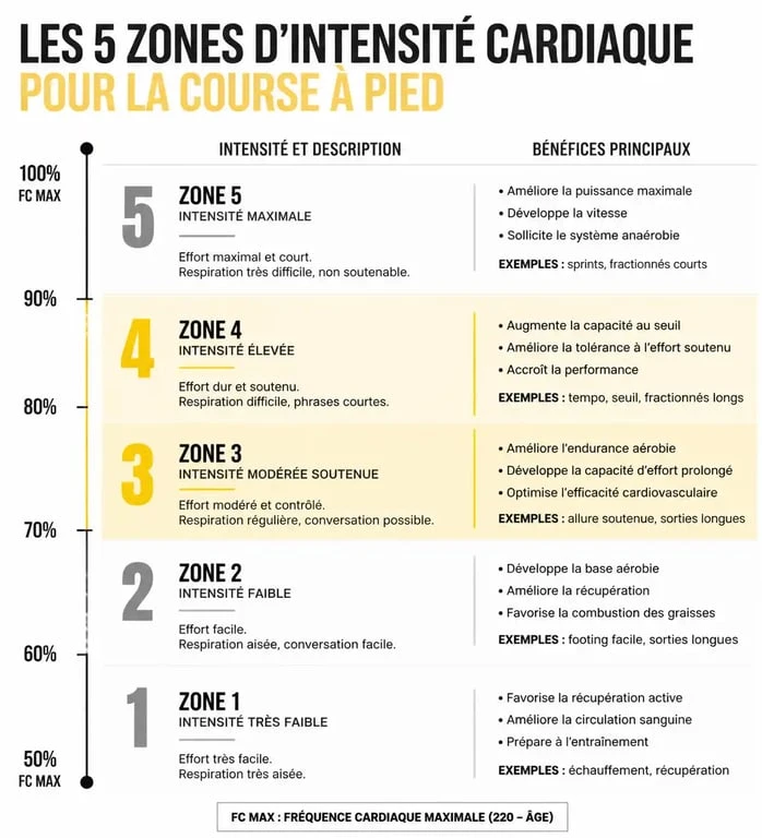 Infographie des zones de fréquence cardiaque pour la course à pied et l'entraînement